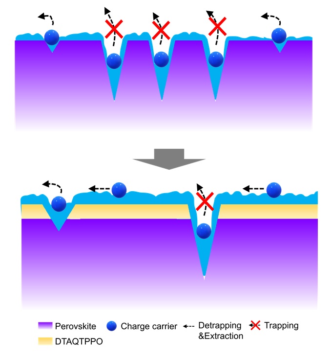 ▲ 새로운 개발한 계면소재(DTAQTPPO)가 전하의 이동을 방해하는 페로브스카이트 표면의 결함을 제거해 태양전지의 에너지 변환효율을 높였다.ⓒ아주대