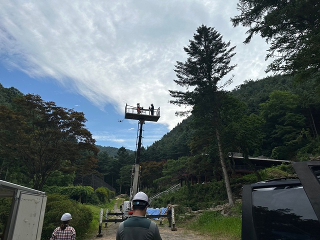 ▲ 경기도 관계자들이 드론을 활용해 소나무재선충병 예찰에 나서고 있다. ⓒ경기도 제공