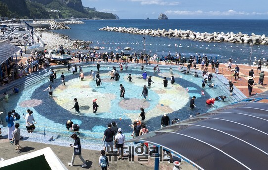 ▲ 지난해 오징어축제 참가자들이 오징어 맨손잡기 체험을 하고 있다.ⓒ뉴데일리