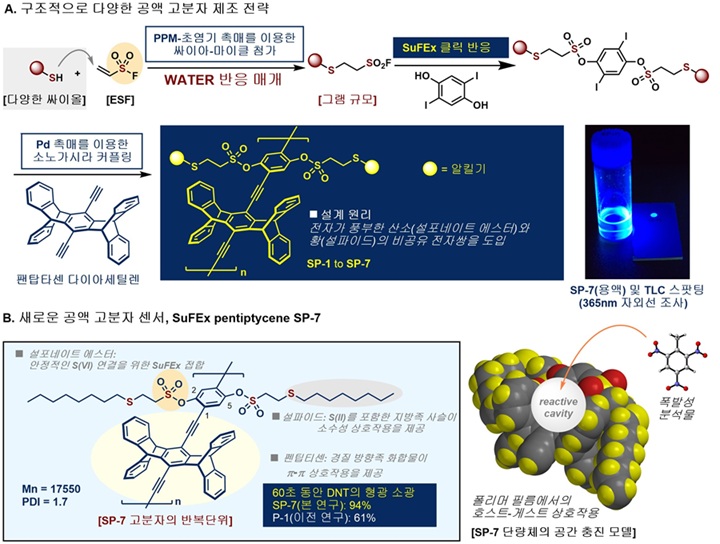 ▲ 서펙스(SuFEx) 반응을 활용한 형광 전도성 고분자(SP 시리즈)의 개발 모식도 및 이를 통한 TNT·DNT와 같은 폭발물을 감지하기 위한 화학센서 작동 메커니즘 개략도.ⓒ성균관대