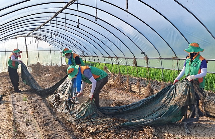 ▲ 세종시자율방재단 단원 등 40여 명은 지난 2일 집중호우로 큰 피해를 입은 충남 예산군 삽교읍 하포리 일대에 농가의 붕괴된 비닐하우스를 정리하고 있다
ⓒ세종시