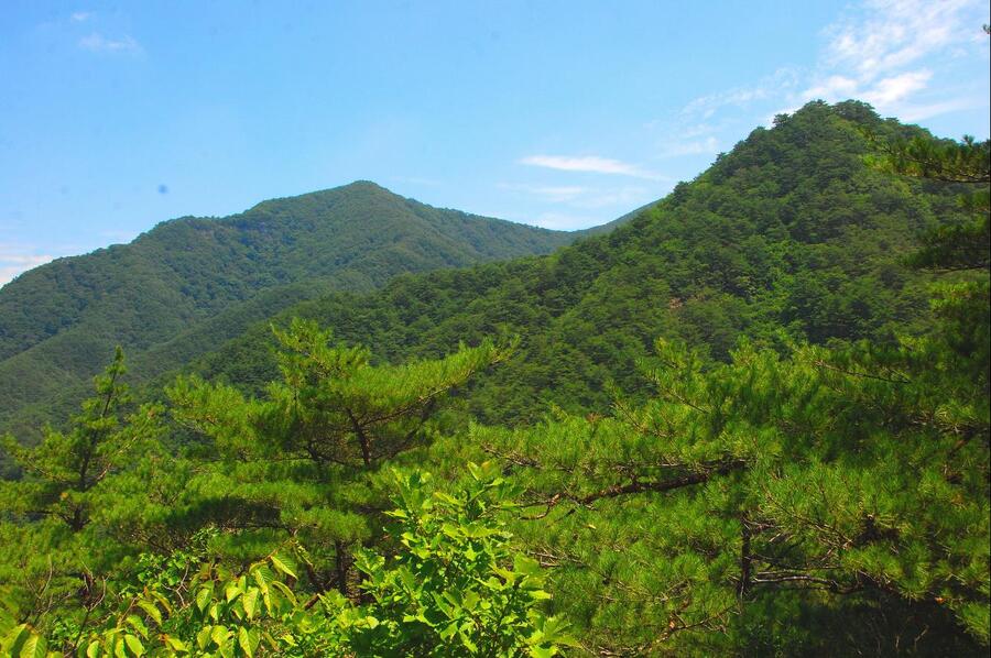 ▲ 후리메기 삼거리로 하행하면서 바라본 가메봉.ⓒ진경수 山 애호가