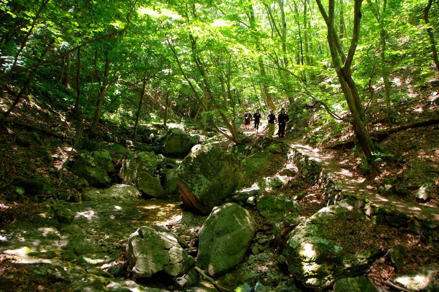 ▲ 후리메기 삼거리로 이어지는 계곡길.ⓒ진경수 山 애호가