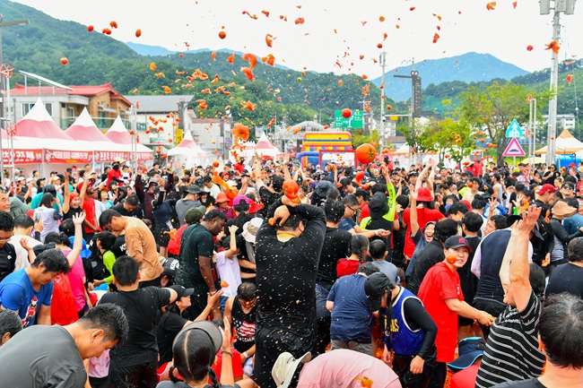 ▲ 화천토마토축제기간 약 12만여명의 관광객들이 방문한 것으로 잠정 집계됐다. ⓒ화천군