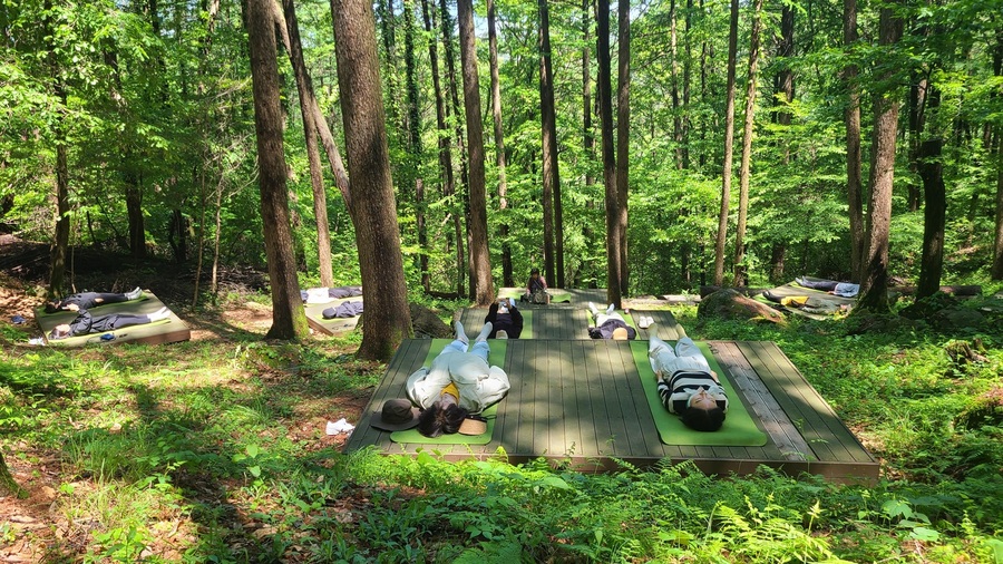 ▲ 달성군(군수 최재훈)은 비슬산 치유의 숲에서 ‘무더위 탈출 야간 프로그램’을 운영한다.ⓒ달성군