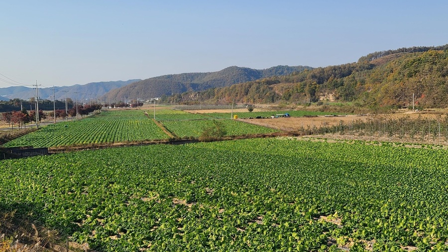 ▲ 영양군(군수 오도창)은 ‘전략작물 산업화 사업’의 일환으로 석보면 화매리 일원에 ‘논범용화 용수공급체계 구축사업’을 본격적으로 펼치고 있다.ⓒ영양군
