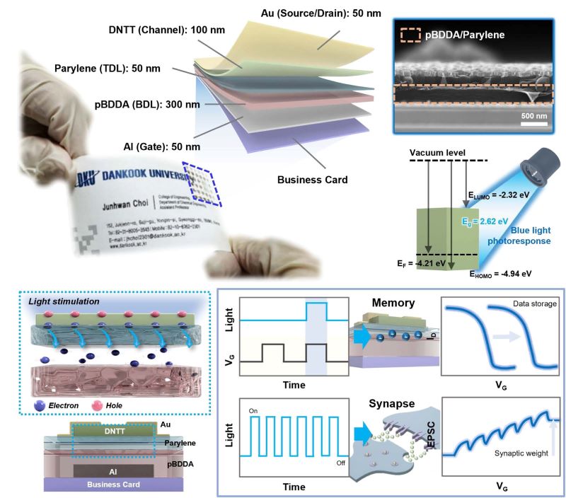 ▲ 종이 명함에 제작된 차세대 AI 반도체의 정보 저장 및 인공 시냅스 기능.ⓒ단국대