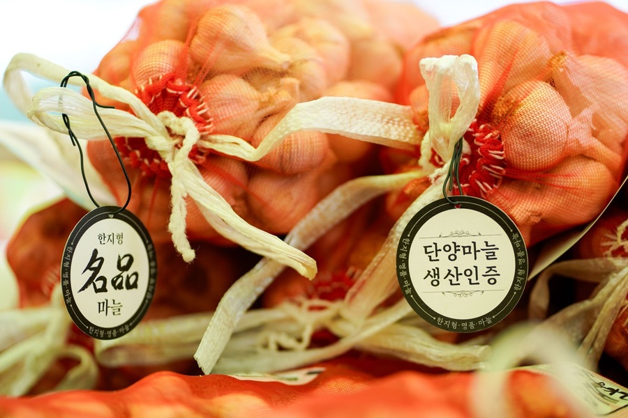 ▲ 단양마늘. ⓒ단양군