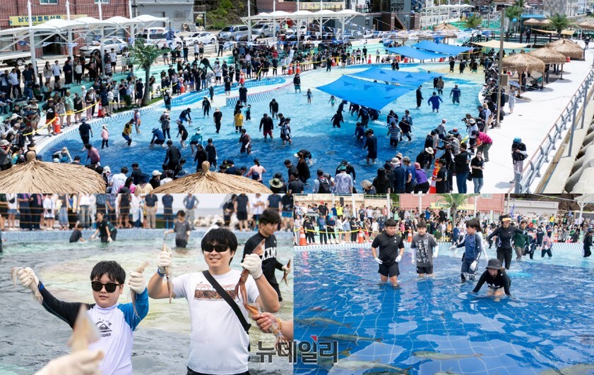 ▲ 오징어축제 중 오징어와 방어 맨손잡기 체험 참가자들이 짜릿한 손맛을 느끼며 잡아 올린 오징어와 방어를 들고 환호하고 있다.ⓒ뉴데일리