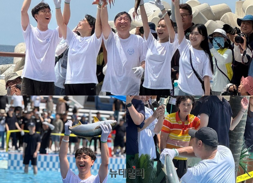 ▲ 맨손잡기 체험에 나선 참가자들이 저마다 오징어와 방어를 잡아 올리고 있다.ⓒ뉴데일리
