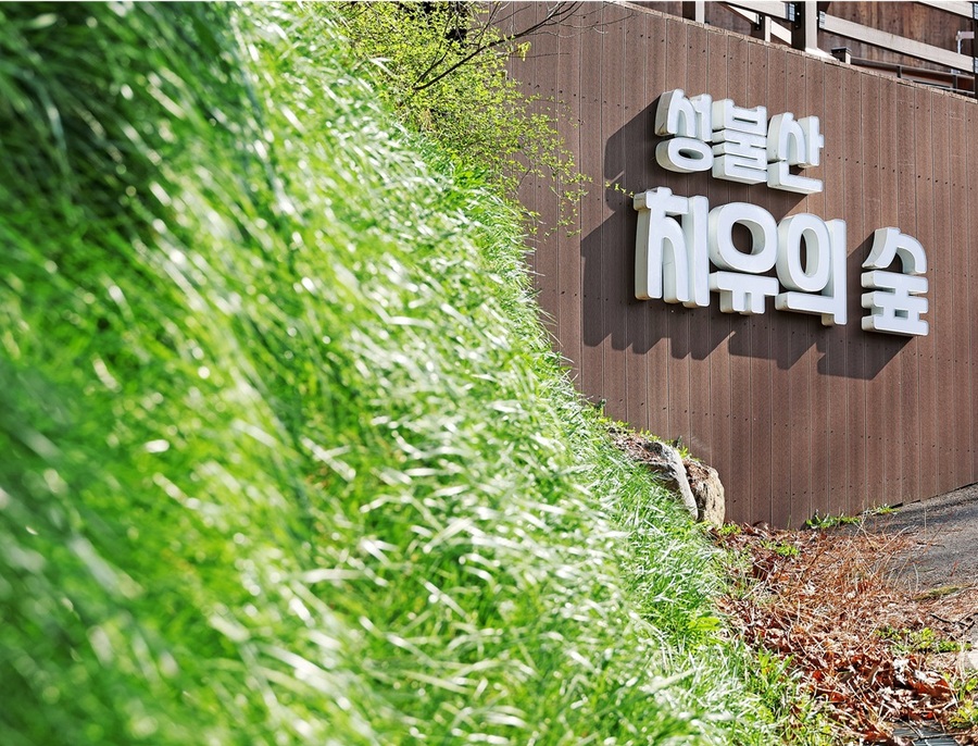 ▲ 성불산 치유의 숲. ⓒ괴산군