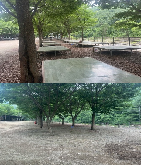 ▲ 경기 연천 아미천의 불법 평상 조지천(위)과 조치후(아래) 모습. ⓒ경기도 제공