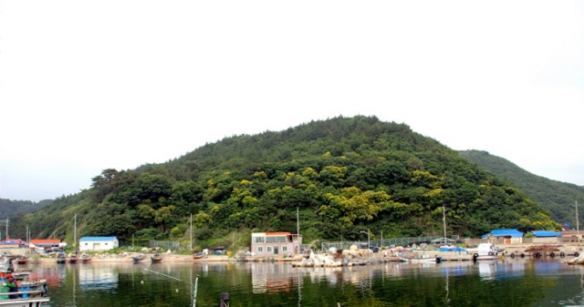 ▲ 발산리 모감주나무와 병아리꽃나무 군락.ⓒ포항시