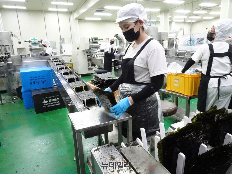 ▲ 충남 홍성군 태경식품 김 생산라인.ⓒ뉴데일리
