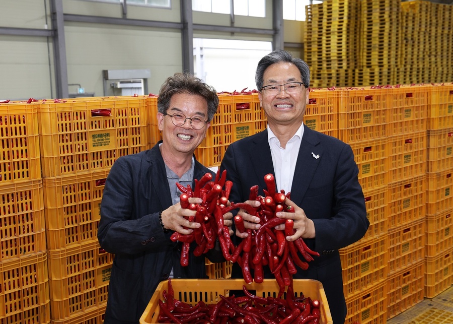 ▲ 영양고추유통공사는 지난 5월 홍고추 수매약정을 체결한 농가 1089호를 대상으로 홍고추 5000톤 수매에 들어간다.ⓒ영양군