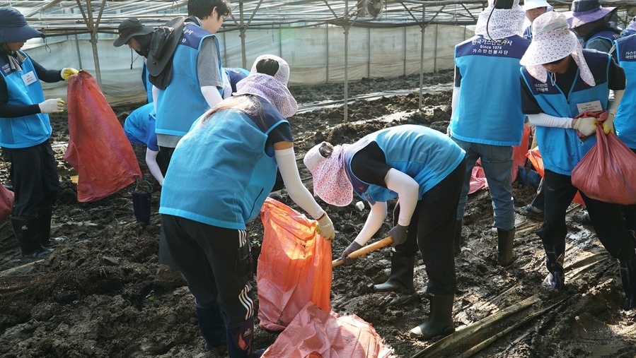 ▲ 한국가스안전공사 박경국 사장을 비롯한 임직원 70명이 12일, 심각한 수재해를 입은 경기도 가평군을 방문해 수해 봉사활동을 실시하고 있다. ⓒ한국가스안전공사