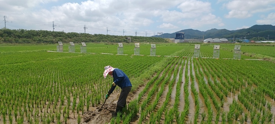 ▲ 저탄소 농가ⓒ전라남도 제공