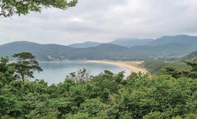 ▲ 외지인 등 관광객들이 북적이는 인천앞바다 섬 덕적도 해변 ⓒ 연합뉴스 제공