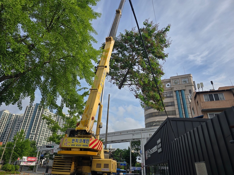▲ 대구시 남구는 하반기 생활주변 위험수목 처리 지원사업을 실시했다.ⓒ남구청