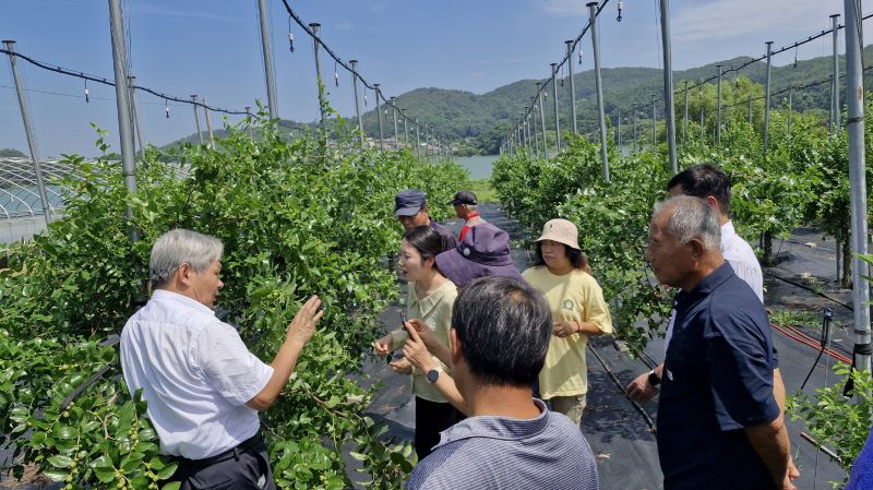 ▲ 아산시가 중국 산동성 사과대추 재배 전문가를 초청해 ‘사과대추 재배기술 및 현장 컬설팅’을 실시하고 있다.ⓒ아산시