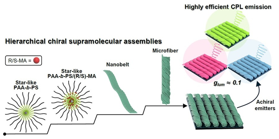 ▲ 계층적 키랄 초분자 공동 조립을 통한 풀컬러·고효율 원편광 활성 소재 제작 모식도.ⓒ이화여대