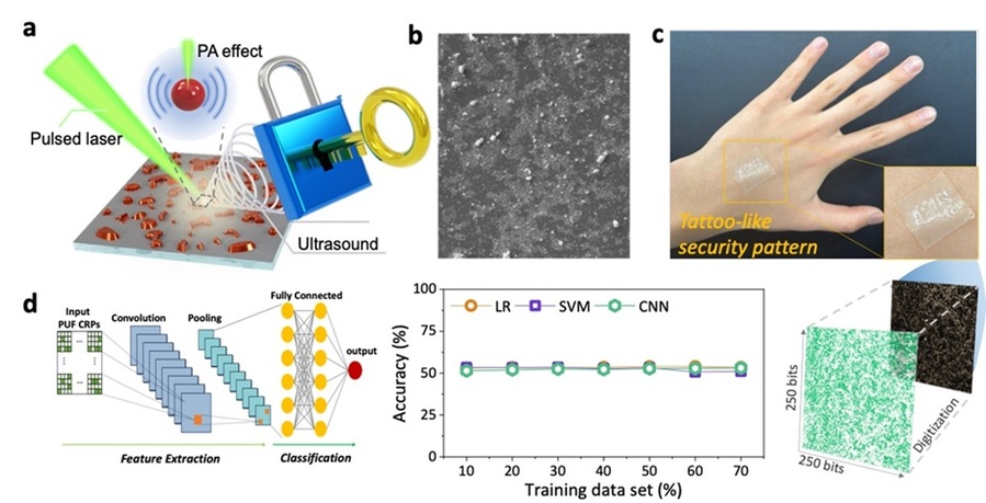 ▲ (a)광-음향 효과를 활용한 보안 인증 소자 개요. (b)나노입자 복합체의 전자현미경 이미지. (c)웨어러블 소자의 실제 사진 및 손등 위에서 추출된 보안 패턴. (d)CNN을 활용한 AI 머신러닝 공격 모사도 및 제안 소자의 AI 공격 방어 성능.ⓒ한양대