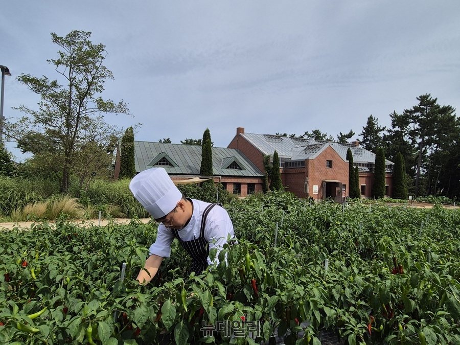 ▲ 상하농원 내 텃밭은 그의 재산이자 농원식당의 보물이다.ⓒ조현우 기자