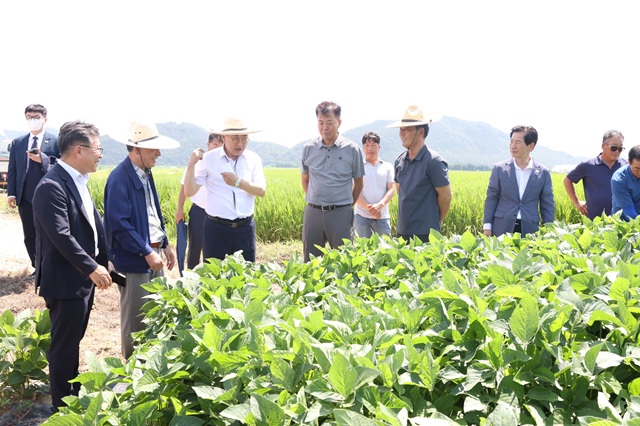 ▲ 주낙영 시장이 지난 18일 안강읍 육통리 대청영농조합법인을 방문해 현장점검을 하고 있다.ⓒ경주시
