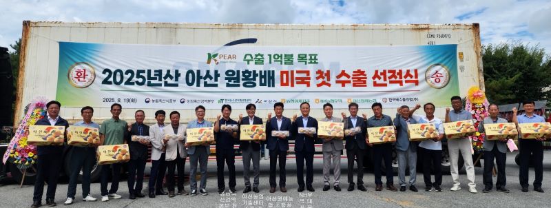 ▲ 아산의 대표 특산물인 ‘아산 배’가 2025년 첫 미국 수출길에 오르고 있다.ⓒ아산시