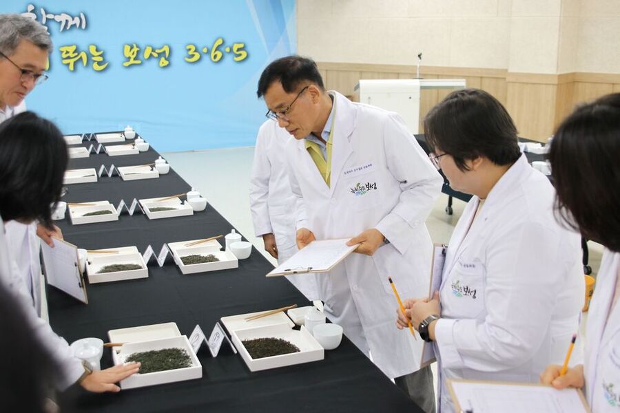 ▲ 보성군, ‘보성녹차’ 군수가 품질 보증한다!_차의 외형, 찻물의 색, 향, 맛, 우려낸 잎 등 다섯 가지 항목에 대해 심사를 하고 있다.ⓒ보성군 제공