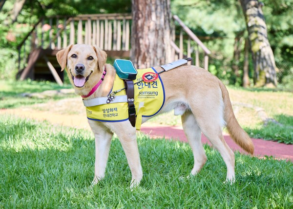 ▲ 삼성화재는 26일 경기도 용인 삼성화재 안내견학교에서 안내견학교 개교 32주년 기념식을 개최했다. 이 자리에서 삼성화재는 우리 사회의 바람직한 변화를 위한 모두의 노력을 조명하며 감사와 축하를 나눴다.ⓒ삼성화재