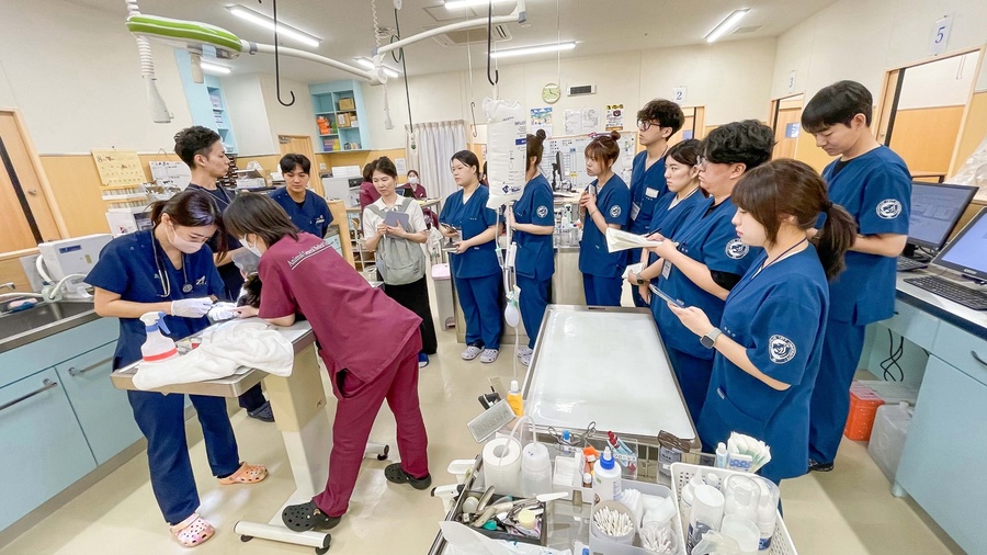 ▲ 영진전문대 동물보건과 학생들이 동물종합의료센터 치바현에서 현장 실습에 참여했다.ⓒ영진전문대