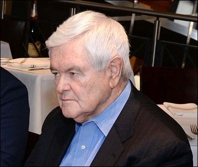 ▲ 뉴트 깅리치 전 미국 하원의장. /뉴시스.