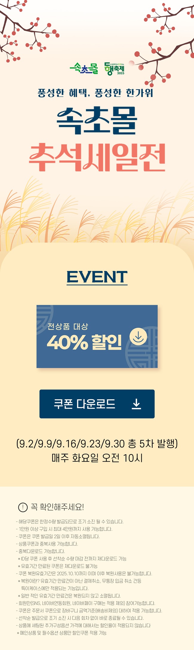 ▲ 속초몰 이미지. ⓒ속초시