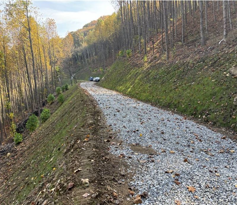 ▲ 아산시가 덕암산 일원에 개설한 임도.ⓒ아산시