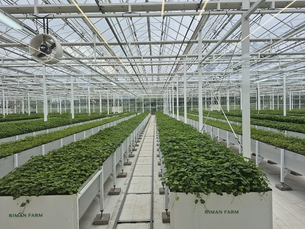 ▲ ⓒ김보라 기자