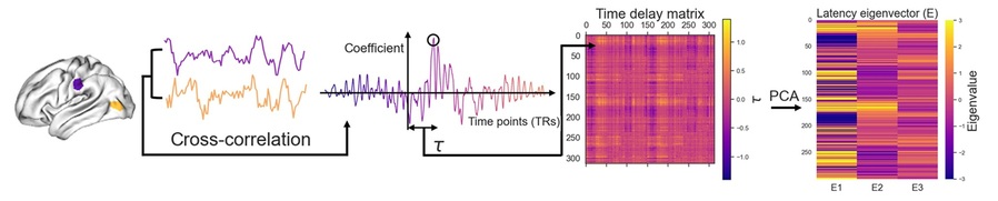 ▲ 기능적 자기공명영상 시계열 데이터로 시간 지연 값을 계산하여 시간 지연 행렬의 고유벡터를 계산하는 과정.ⓒ고려대
