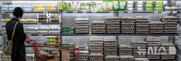 ▲ 서울시내 한 대형마트에서 소비자들이 계란을 살펴보고 있다. ⓒ뉴시스