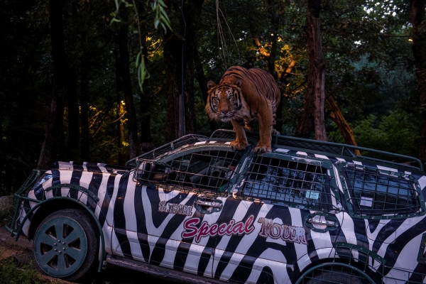 ▲ 에버랜드 나이트 사파리 트램 ⓒ에버랜드