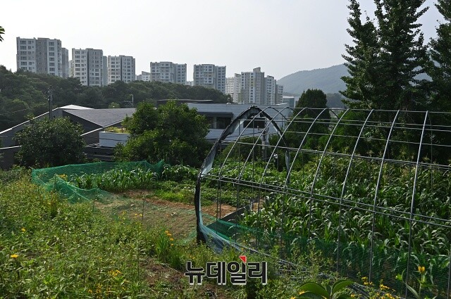 ▲ 서울 근교 개발제한구역과 인근 아파트. ⓒ뉴데일리DB