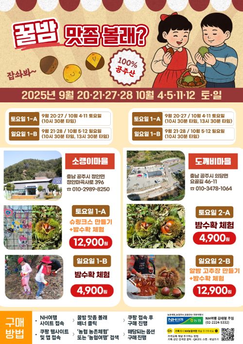 ▲ 밤 줍기 체험 프로그램 홍보 이미지.ⓒ공주시