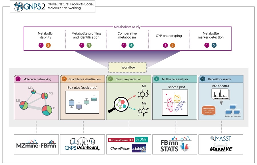 ▲ 약물대사 연구를 위한 질량분석 데이터 분석 워크플로.ⓒ숙명여대