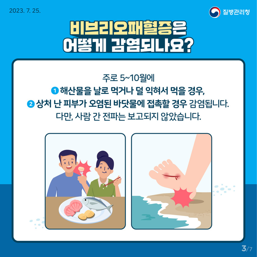 ▲ 비브리오패혈증 예방 홍보물ⓒ전라남도 제공