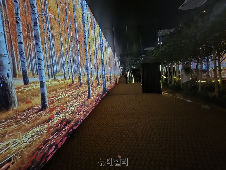 ▲ 첫 번째 공간인 자작나무 숲은 영상 뿐만 아니라 특유의 향을 표현했다.ⓒ조현우 기자
