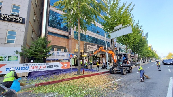 ▲ 대전시는 은행나무 암나무 교체, 낙과기 열매 집중수거, 수분기 적화유도제 살포 등 관리 대책을 시행 중이다.ⓒ대전시