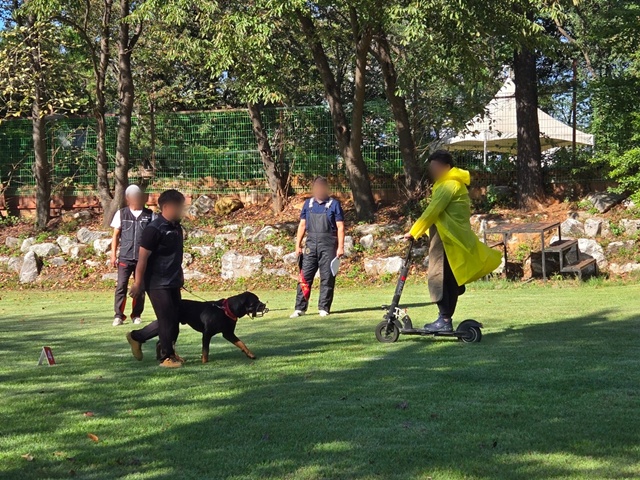 ▲ 경기도가 맹견에 대한 기질평가를 진행하고 있다. ⓒ경기도 제공