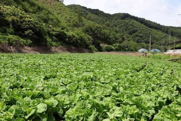 ▲ ⓒCJ제일제당