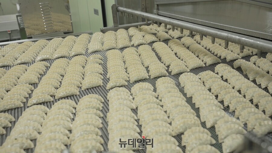 ▲ 생산된 만두들은 급속냉동을 거쳐 포장 라인으로 옮겨진다.ⓒCJ제일제당