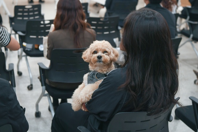 ▲ 반려동물테마파크 운영 활성화 정책 토론회에 참석한 반려인이 토론 내용을 경청하고 있다ⓒ오산시 제공