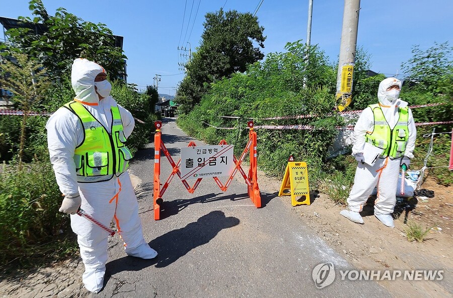 ▲ 방역 조치 ⓒ연합뉴스